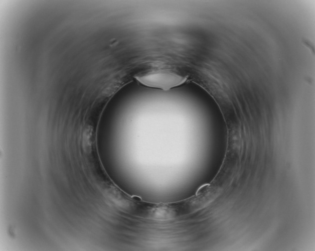 X0000096210275200801251041