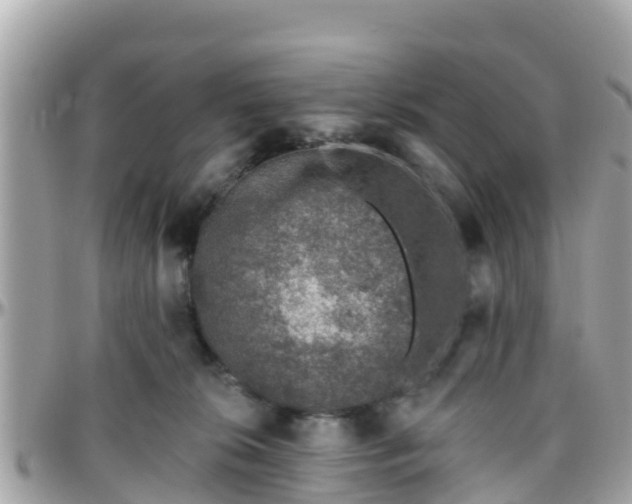 X0000096210276200801251041