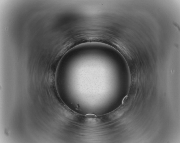 X0000096210277200801251041