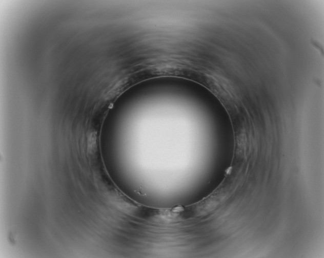 X0000096210278200801251041