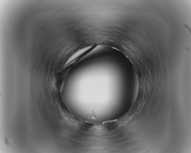 X0000096210280200801251041