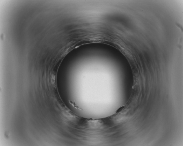 X0000096210281200801251041