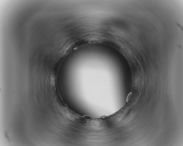 X0000096210282200801251041