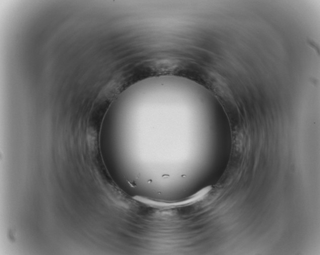 X0000096210283200801251041