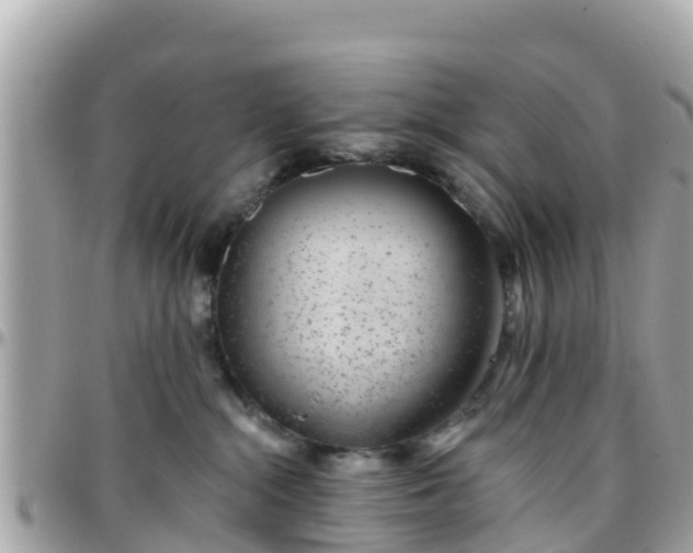 X0000096210284200801251041