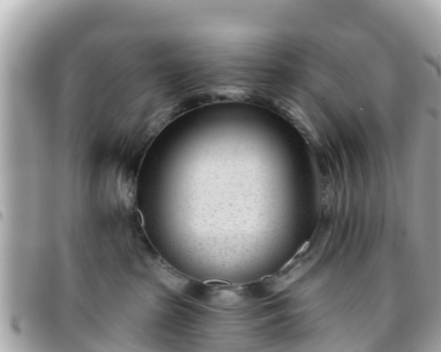 X0000096210285200801251041