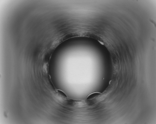 X0000096210286200801251041