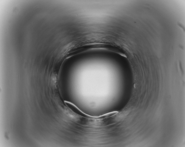 X0000096210288200801251041