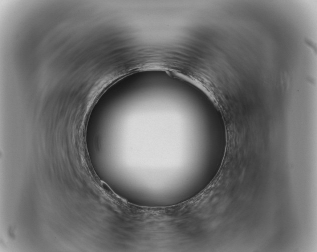 X0000096210289200801251040