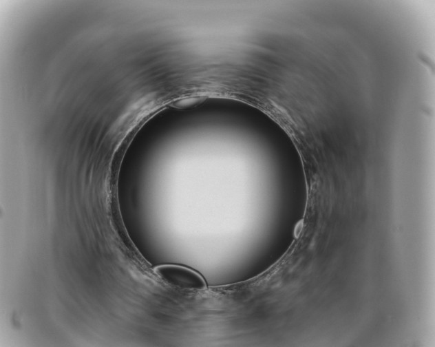 X0000096210290200801251040