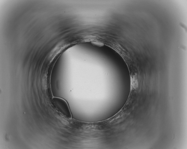 X0000096210291200801251040