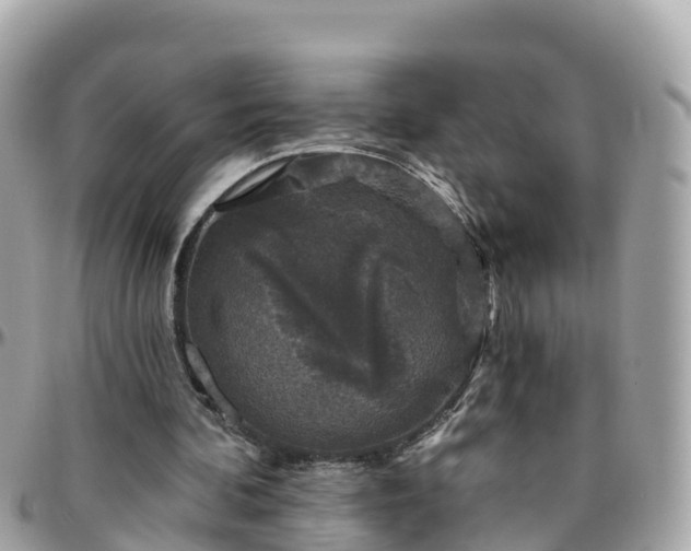 X0000096210292200801251040