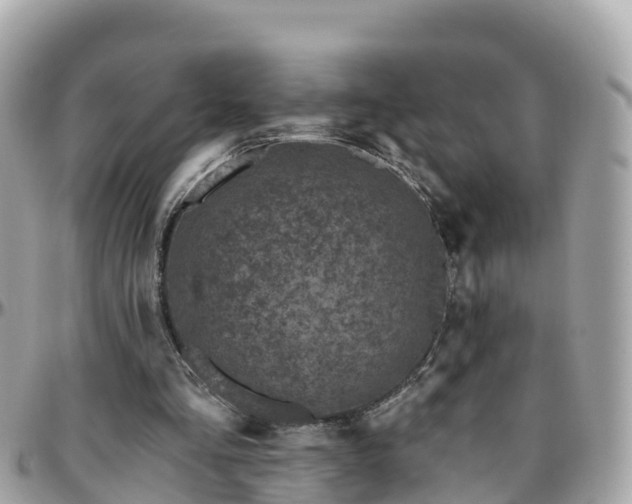 X0000096210293200801251040