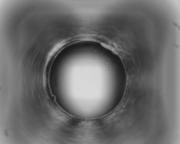 X0000096210294200801251040