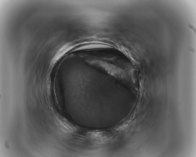 X0000096210295200801251040