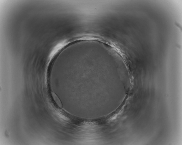 X0000096210296200801251040