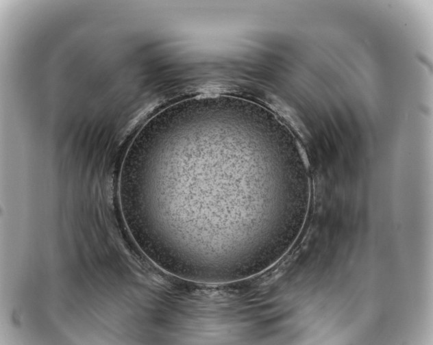 X0000096210297200801251040