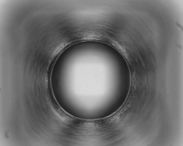 X0000096210298200801251040