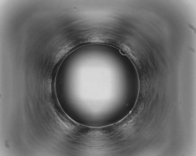 X0000096210299200801251040