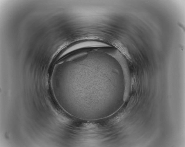 X0000096210300200801251040