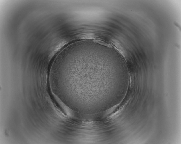 X0000096210301200801251040