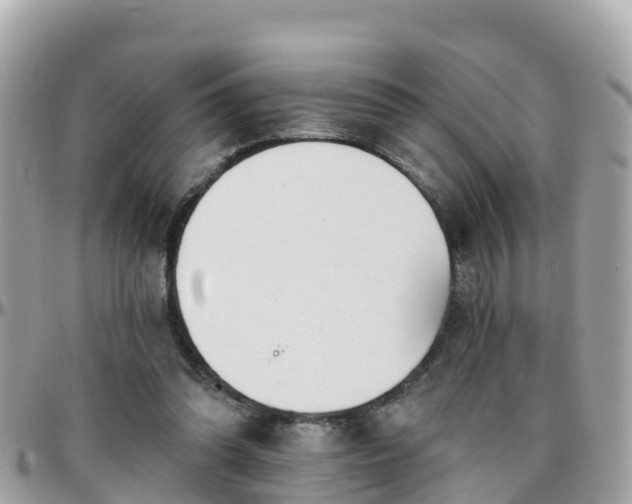 X0000096210302200801251040