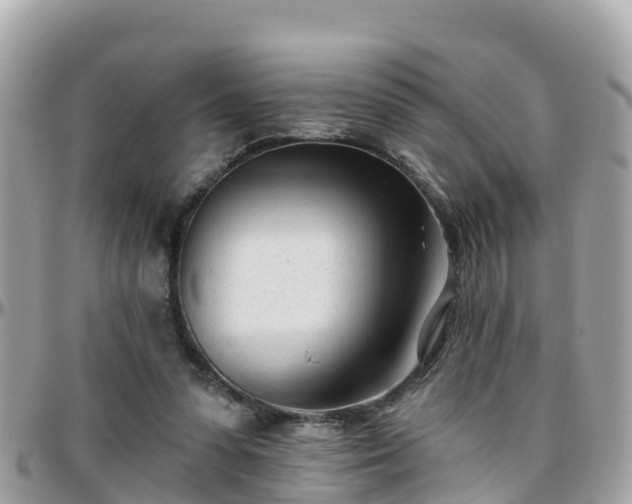 X0000096210303200801251040