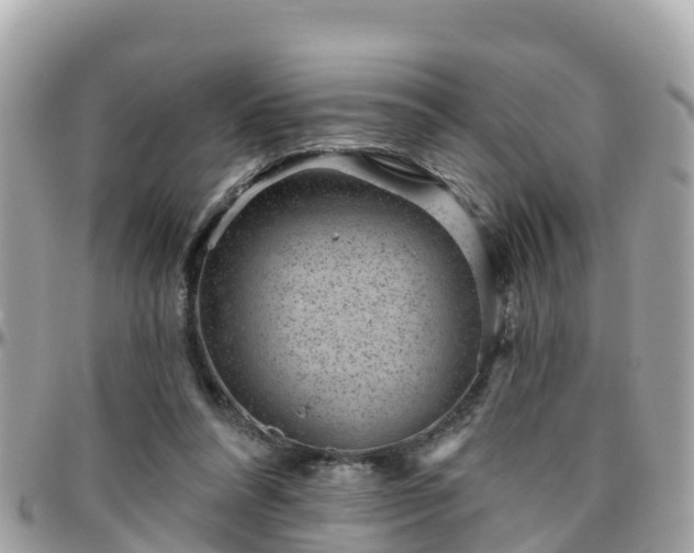 X0000096210304200801251040