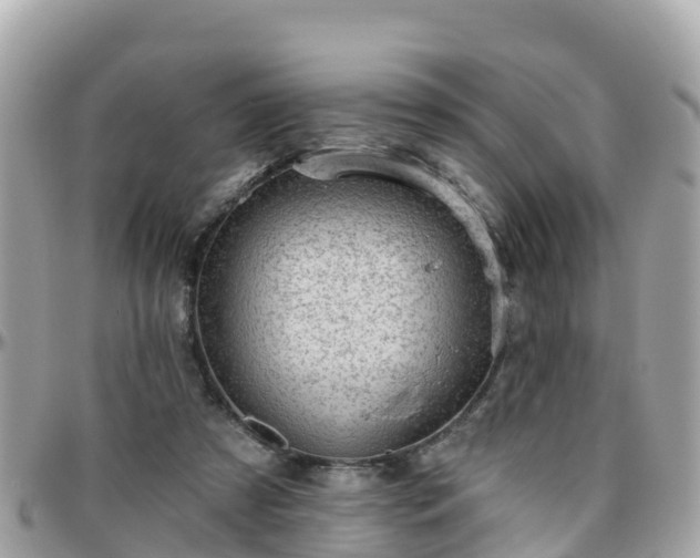 X0000096210305200801251040