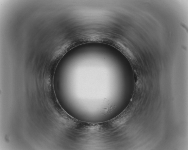 X0000096210306200801251040