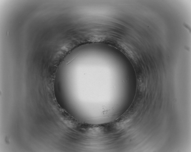 X0000096210307200801251040