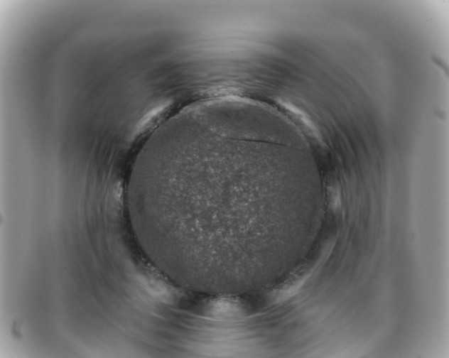 X0000096210308200801251040