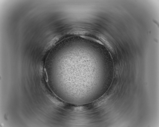 X0000096210309200801251040