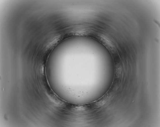 X0000096210310200801251040