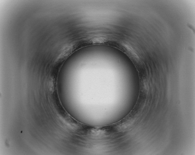 X0000096210311200801251040