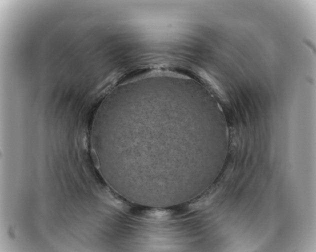 X0000096210313200801251040