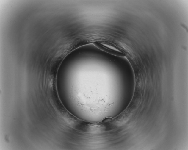 X0000096210315200801251040