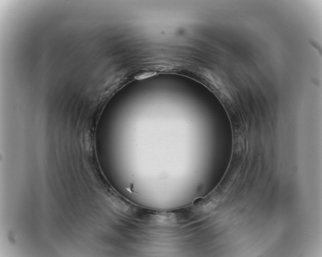 X0000096210317200801251040