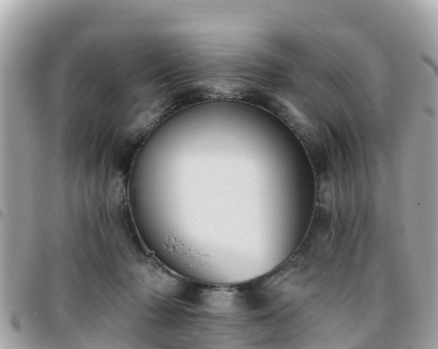 X0000096210318200801251040