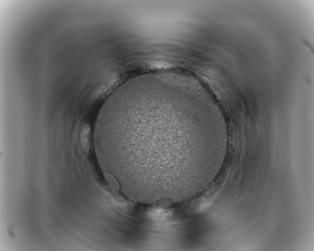 X0000096210319200801251040