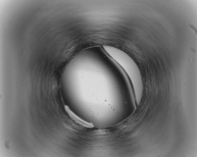 X0000096210320200801251040