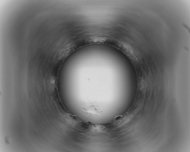 X0000096210321200801251040