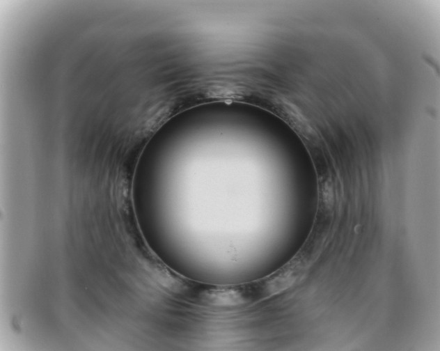 X0000096210322200801251040