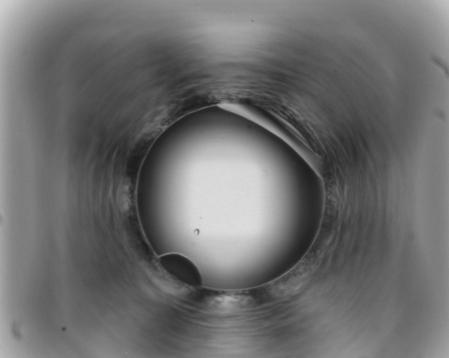 X0000096210323200801251040