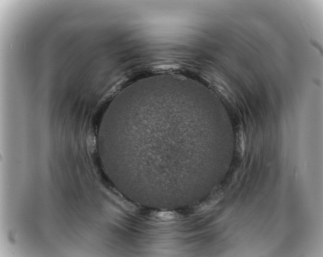 X0000096210324200801251040