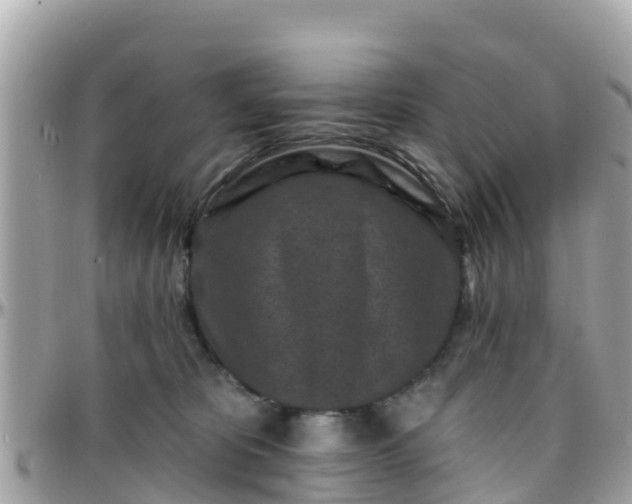 X0000096210325200801251040