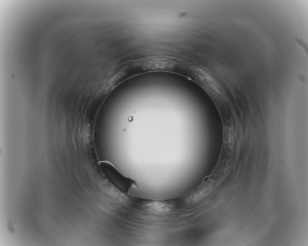 X0000096210326200801251040