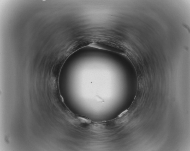 X0000096210327200801251040