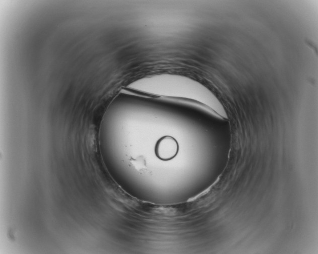 X0000096210328200801251040