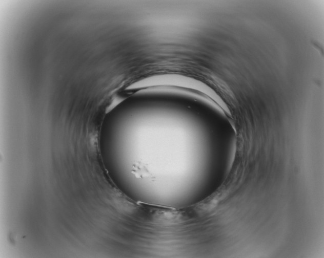 X0000096210329200801251040